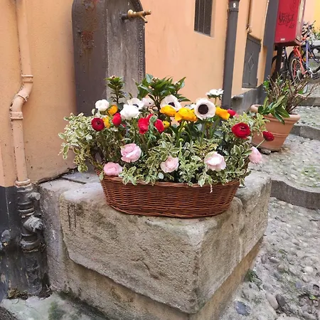 “ Nel Vecchio Carruggio” Sanremo